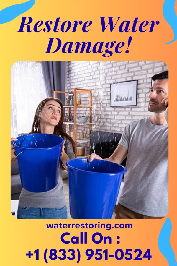 water restoration Frontier Water Damage Company Cayuga