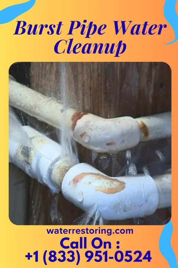 Burst Pipe Water Cleanup in Cayuga, IN