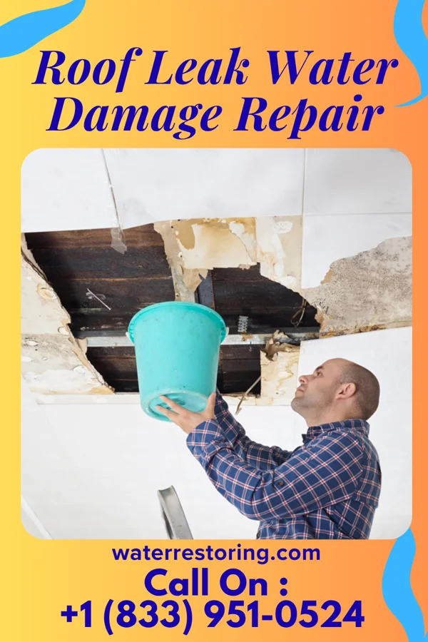Roof Leak Water Damage Repair in Cayuga, IN