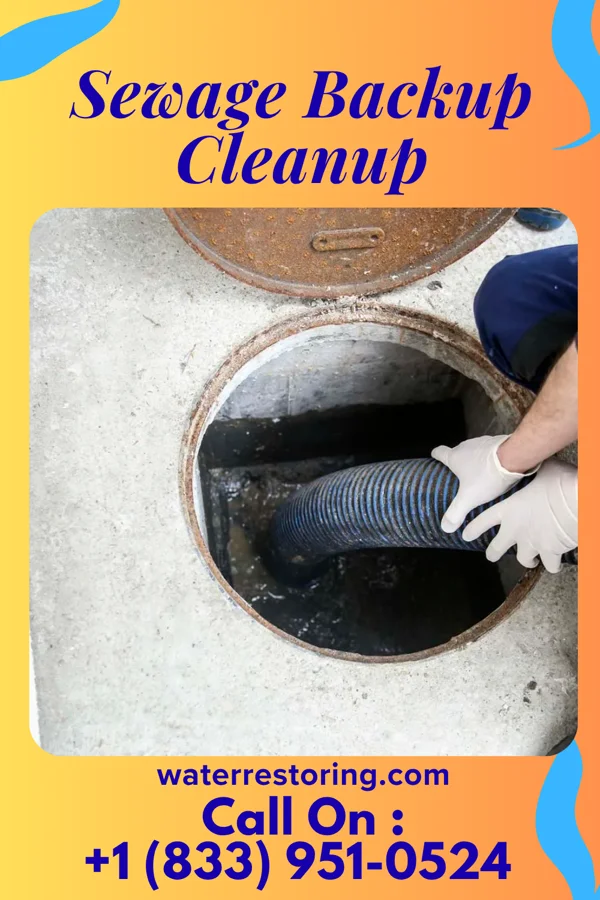 Sewage Backup Cleanup in Cayuga, IN